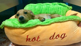 HOT DOG Bed for Dogs