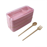 Eco-Friendly Lunch Box Food