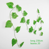 Home Decoration leaves