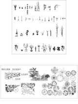 ★【Plants,flowers,tree Autocad Blocks Collections】All kinds of Plants CAD Blocks