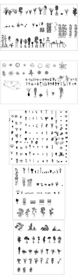 ★【Plants,flowers,tree Autocad Blocks Collections】All kinds of Plants CAD Blocks