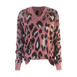 Print Long Sleeve V-neck Blouse