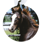 Morgan Horse Baby Metal Ornament
