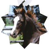 Morgan Horse Baby Metal Ornament
