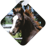 Morgan Horse Baby Metal Ornament