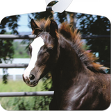 Morgan Horse Baby Metal Ornament