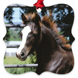 Morgan Horse Baby Metal Ornament