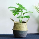 1PC Seagrass Belly Storage Basket Straw Basket Write Wicker Basket Storage Bag White Garden Flower Pot Planter Handmade 1PC Seagrass Belly Storage Basket Straw Basket Write Wicker Basket Storage Bag White Garden Flower Pot Planter Handmade