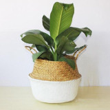 1PC Seagrass Belly Storage Basket Straw Basket Write Wicker Basket Storage Bag White Garden Flower Pot Planter Handmade 1PC Seagrass Belly Storage Basket Straw Basket Write Wicker Basket Storage Bag White Garden Flower Pot Planter Handmade