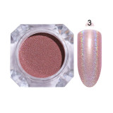 Shiny Glittering Nail Powder - Powder Set