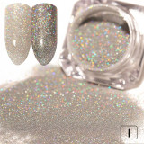 Shiny Glittering Nail Powder - Powder Set