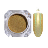 Shiny Glittering Nail Powder - Powder Set