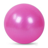 Anti-Slip Anti-Explosion Exercise Ball