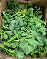 Fresh uncut water greens