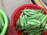 Okra-Fresh Green Okra