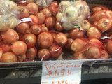 Onion