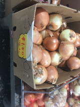 Onion
