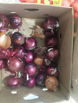 Onion