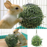 Stainless Hay Ball Grass Feeder Tool for Small Pets