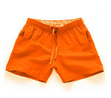 Quick Dry Beach Shorts (Multiple Colors)