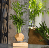 Lyfe Planter