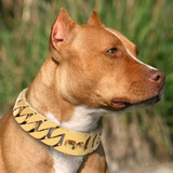 Cuban Link Dog Collar Cuban Link Dog Collar
