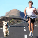 Elastic Waist Running Leash with Reflective Strip Elastic Waist Running Leash with Reflective Strip