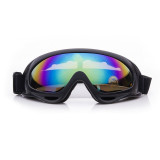 Cycling Anti-fog Goggles