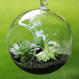 Transparent Clear Glass Round for Gardening