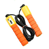 Jump Ropes with Speed Counting