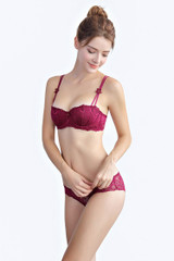 Sexy Underwear Lace Bra And Panties Sets