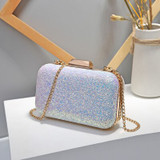 Shiny Luxury Handbag