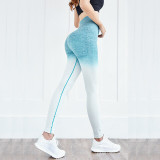 Stretchy Gym sports Energy Gradient Seamless Leggings