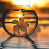 5D DIY Diamond Painting Kits, "Through the Looking Glass"