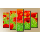 Sunflowers Field, 5 Panel Diamond Painting -WOW