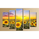 Sunflowers Field, 5 Panel Diamond Painting -WOW
