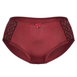 Boyshort Panty Sheer Mesh Sides Sassa Mode