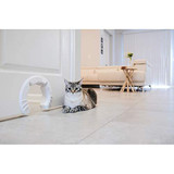 Cat Door