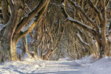 Game of Thrones Tour