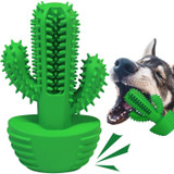The Cleaning Cactus Dog Brush
