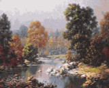 Forest landscape