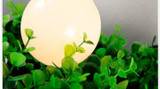 Metta - Wrought Iron Suspended Planter Lamp