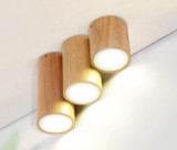 Dru - Modern Nordic LED Ceiling Lights