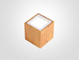 Dru - Modern Nordic LED Ceiling Lights