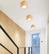 Dru - Modern Nordic LED Ceiling Lights