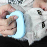 Cat Hair Massage Comb