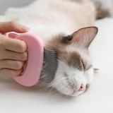 Cat Hair Massage Comb