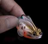 Soft Bite Fishing Lure