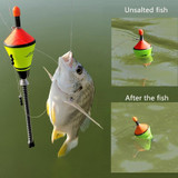 Portable Automatic Fishing Hook