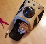 "The Fat Cat" Cat Backpack - For Larger Cats